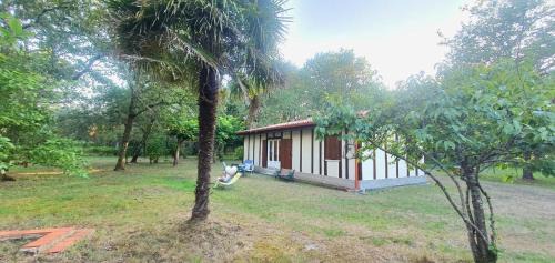 Uza House | Maison en forêt, calme, proche village et piste cyclable - meublé 3 étoiles