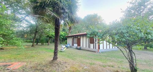 Uza House | Maison en forêt, calme, proche village et piste cyclable - meublé 3 étoiles