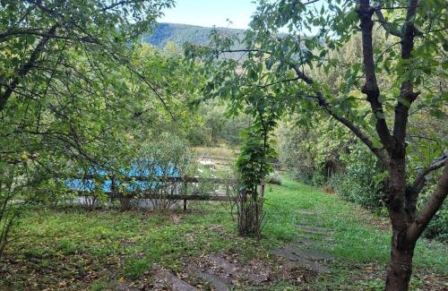 Planzolles House | Maison en pierre au cœur de l'Ardèche avec 4 lits, 2 chambres, 1 piscine hors sol