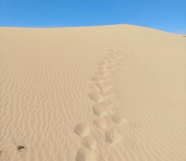 Ait Boukha Bed & Breakfast | Maison etoile du desert
