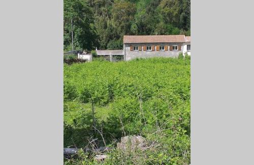 Pruno House | Maison F4 bord de rivière dans un hameau du village de Pruno en Haute Corse Dix min de la plage à Folelli