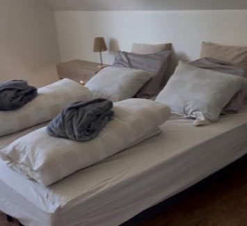 Hertsberge House | Maison Frieda