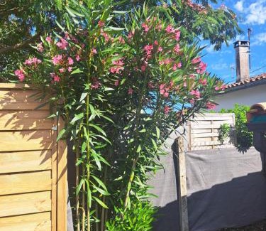 Saint-Seurin-de-Bourg House | Maison Girondine 4 personnes