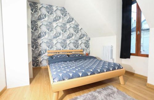 Romilly-sur-Seine Apartment | Maison hyper centre Romilly-sur-Seine
