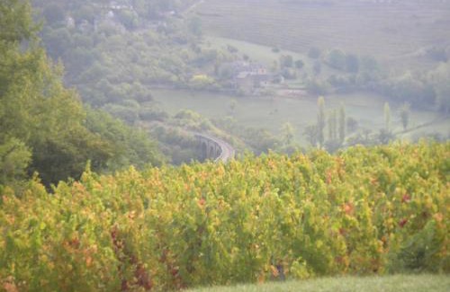 Valady House | maison isolée dans les vignes et les bois