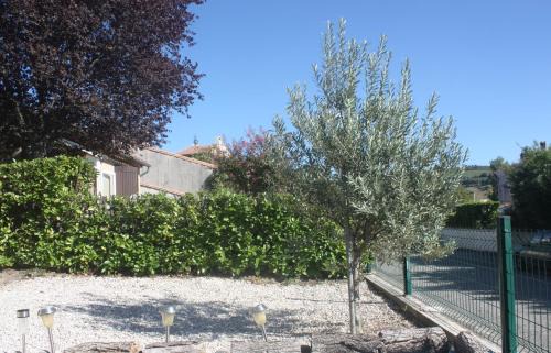 Limoux House | Maison-Limoux Chambre D'Hote Limoux 11300