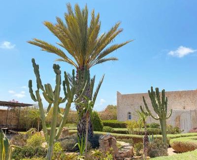 Sidi Kaouki Villa | Maison Mimosa, lovely 3 bedroom villa with a Large pool