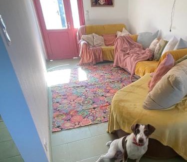 Vieille-Brioude House | Maison n2 Donasete T1