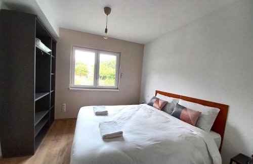 Soultzbach les Bains House | Maison neuve 4 chambres à Soulzbach - FR-1-744-46