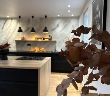 Fretin House | Maison Patcha