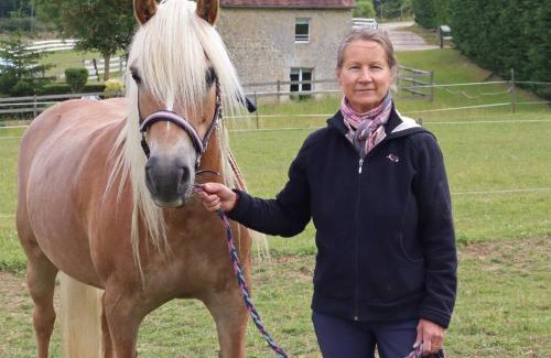 Aubry-en-Exmes House | Maison rénovée au Haras avec WIFI, animaux acceptés - FR-1-497-236