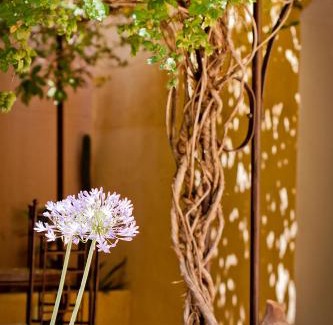 Besse-sur-Issole Bed & Breakfast | Maison Saint Louis avec Jacuzzi
