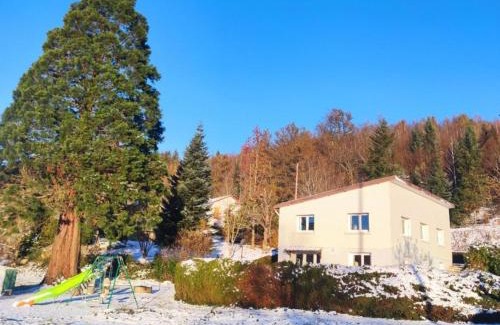 Fraize House | Maison spacieuse avec SPA, nature & calme dans les Vosges - FR-1-589-757