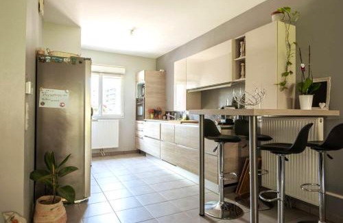 La Madeleine House | Maison spacieuse, quartier La Madeleine, terrasse et jardin