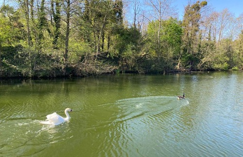 Vigneux-sur-Seine Boat Rental | Maison sur l’eau - havre de paix au milieu des péniches (proche Paris)