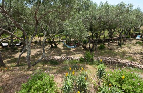 Hameau de Palombaggia Bed & Breakfast | Maison Tavolara