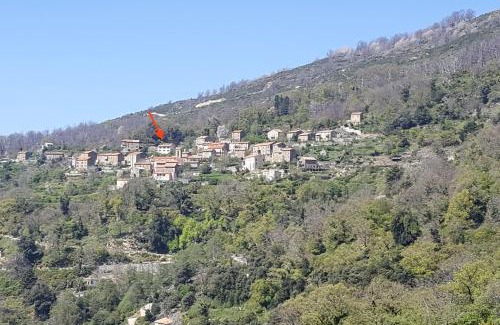 Letia House | MAISON TUCCARELLU