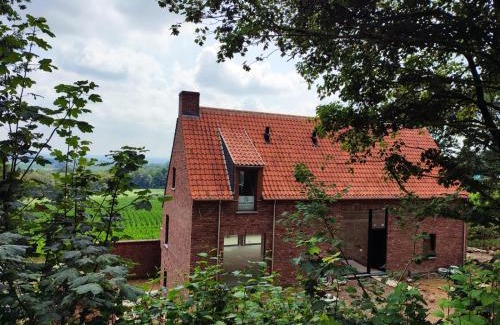 Westouter House | Maison Vidaigne