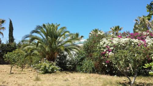 Chott Mariem Villa | Maison Villa Sousse Chott-Meriem, jardin arboré, 400 m de la plage