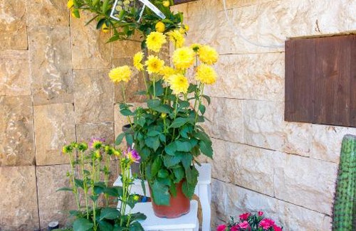 Pomos Apartment | Maistrali Apartment