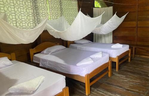 Puerto Maldonado Hostel | Majacho`s House
