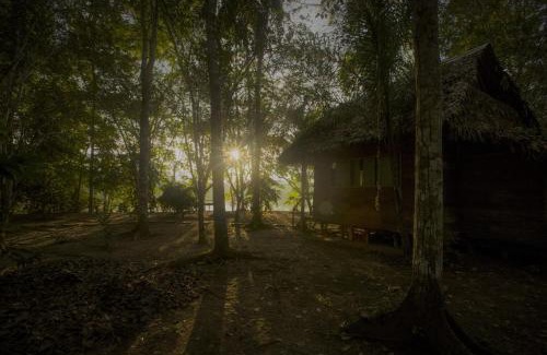 Puerto Maldonado Hostel | Majacho`s House