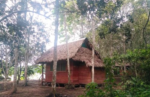 Puerto Maldonado Hostel | Majacho`s House