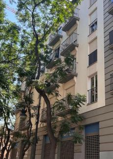 Barrio del Carmen Apartment | Majestic Flats