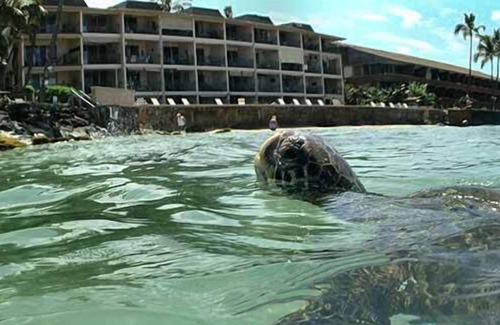Honokowai Condo | Makani Sands #108 1pm beachfront condo in West Maui