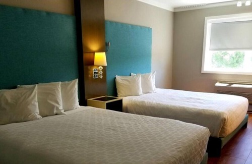 Castle Rock House | Making The Best Memories Along The Way! Free Parking, Onsite Dining