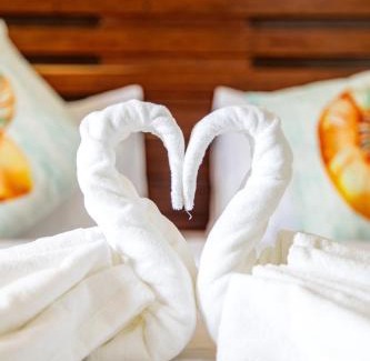 Dhiffushi Bed & Breakfast | Maldivine Stay Dhiffushi