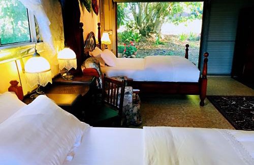 Maleny House | Maleny Monet Studio