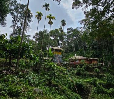 Devikolam House | Mamalakandam Tree house
