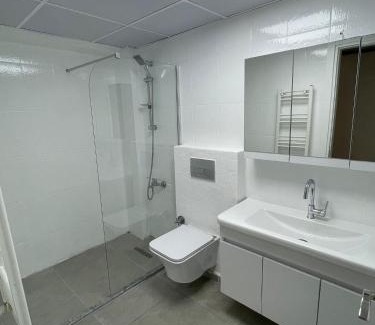 Bayraklı Apartment | Mams Otel