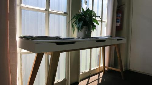 Cape Town City Centre Apartment | Man And Tree House