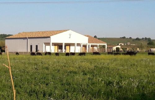 Le Cailar House | Manade de la clapiere-Mas du Plan