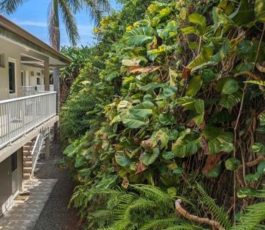 Pirae Apartment | Manahau Lodge