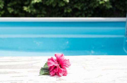 Ngatangiia House | Mango Cottage