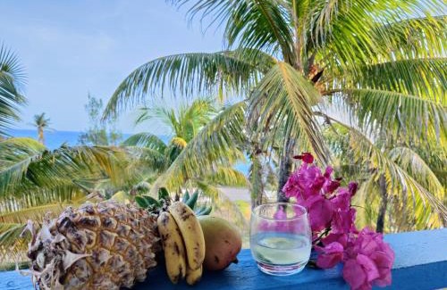 Saint-Francois Apartment | Mango Paradise