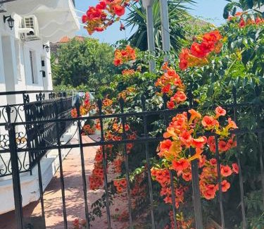 Areopoli House | Mani Spot