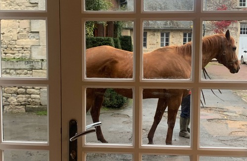 Blay House | Manor barn in a 800 acres private stud farm horses property *