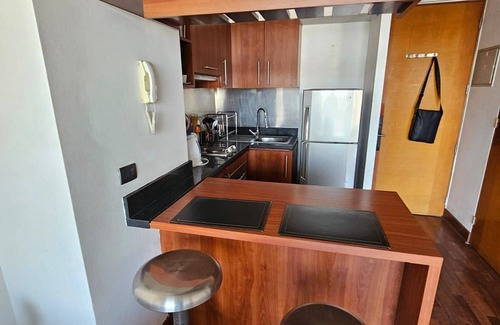 Santiago Apartment | Manuel Montt apartrent