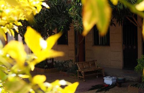 Bahir Dar Hostel | Manuhie Backpackers Lodge