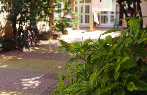 Bahir Dar Hostel | Manuhie Backpackers Lodge