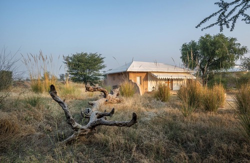 Shergarh Resort | MANVĀR Kumat Thar Serenity Camp