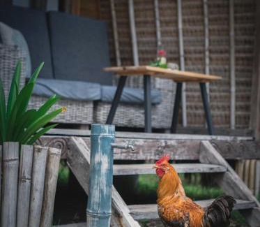 Gili Meno Resort | MaoMeno Yoga Resort