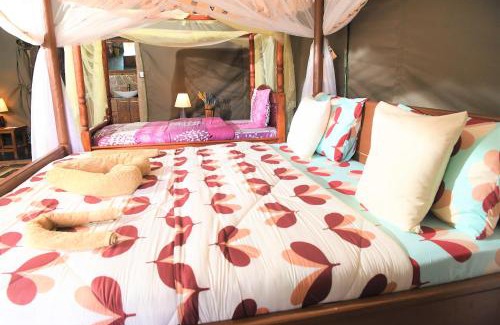 Talek Other | Mara Duma Bush Camp