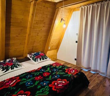 Moisei Cabin | Mara Frames - Moisei