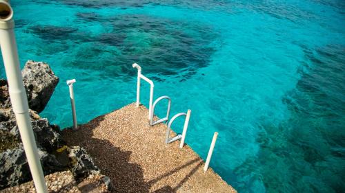 Discovery Bay Apartment | Marantha Villa