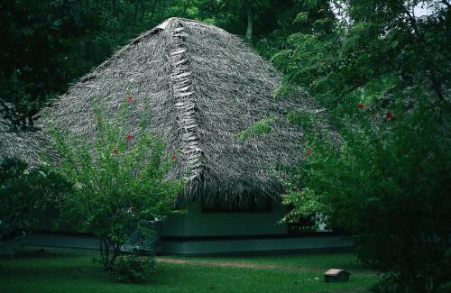 Mararikulam Resort | Marari Beach Resort Alleppey - A CGH Earth Experience
